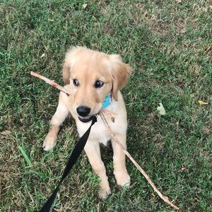 Meet your Posher, Brooklyn